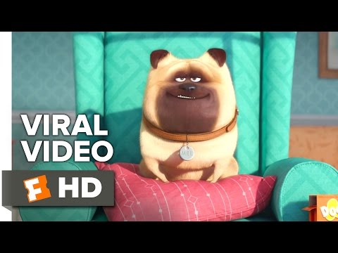 The Secret Life of Pets VIRAL VIDEO - Meet Mel - Animated Movie HD