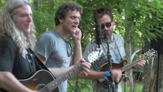 CARBON LEAF  -American Tale-