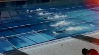 Putita Lyrics English Translation