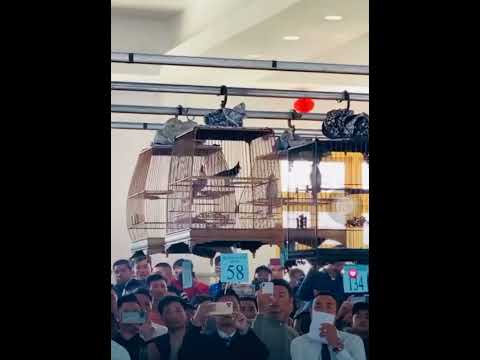 Giải Seacup Đà Lạt ngày 26 tháng 2 năm 2023