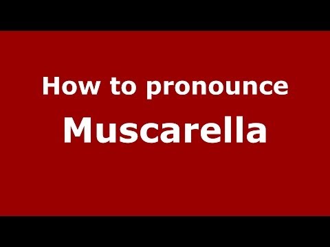 How to pronounce Muscarella (Italian/Italy) - PronounceNames.com