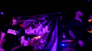 Blowsight @ Berlin (02.11.2011) : Thought of Bride