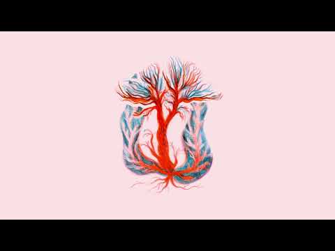 NOAH VANDEN ABEELE - Phoenix (Official Audio)