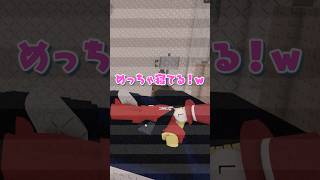 サミーを監視してみたら..
