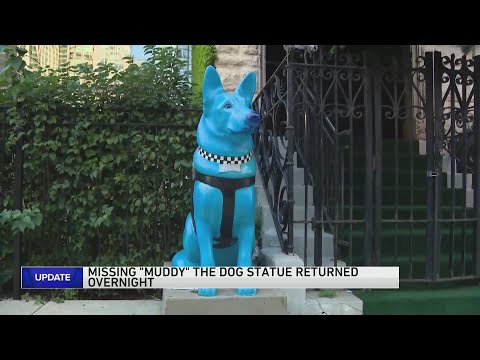 WGN News coverage of the returned Muddy statue
