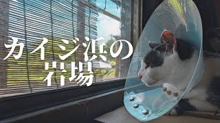 Snorkelling at Kaiji beach, the star sand beach on Taketomi Island.  Ep.412