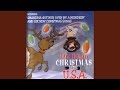 Christmas In The USA