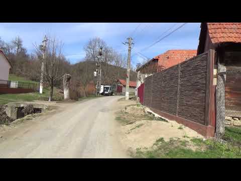 Coșteiu De Sus, Timiș