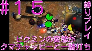 【ピクミン2】【クマチャッピー縛り】ピクミンの変態がクマチャッピーと一騎打ちpart15【ライジング】
