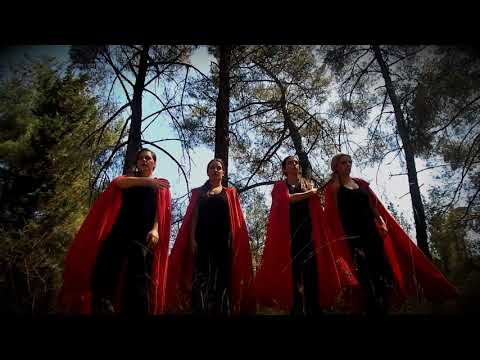 RedWood Dance Project part 2