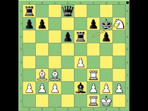 Najlepše partije  2 deo - NEZHMETDINOV vs CHERNIKOV - Sicilijanka  # 445