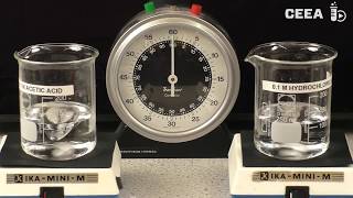 Download lagu ACID AND BASE REACTIONS mp3