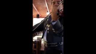 Armando Ramírez, "Échame a mi la culpa" con el Mariachi "Azteca"