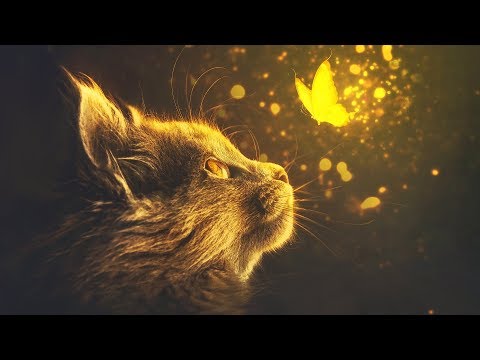 download lagu mp3 mp4 Adobe Photoshop Glow Effect Tutorial, download lagu Adobe Photoshop Glow Effect Tutorial gratis, unduh video klip Adobe Photoshop Glow Effect Tutorial