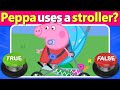 Peppa Pig Quiz True Or False 95 Get This WRONG Can You Beat It Quiz DingDong