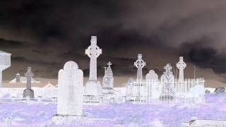 Pig-Ojo Por Ojo(Eye For An Eye)