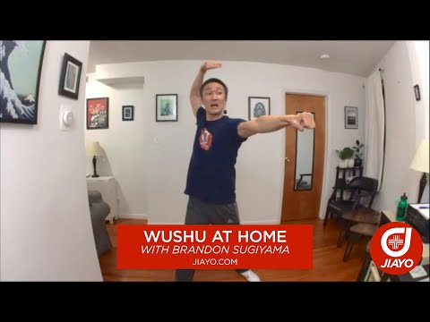 Punch Palm Combination - Wushu At Home with Brandon Sugiyama