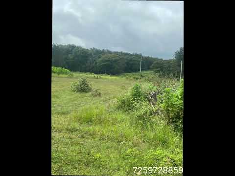 Property -7 | 3 Acre Land for Sale | 20km from Hassan | Near Bangalore–Mangalore Highway | Karnataka