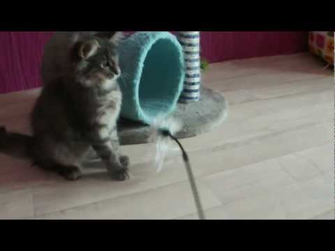 Chanelle le 20.01.2013