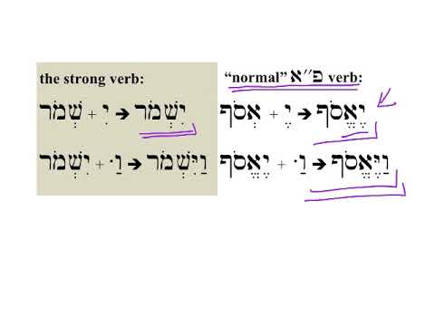 23a Weak Verb Forms Peh-aleph (I-aleph) HebrewDaybyDay
