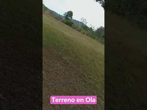 #terrenoenventa en #ola #cocle #panama #campestre #lotescampestres #campo #casa #tranquilidad