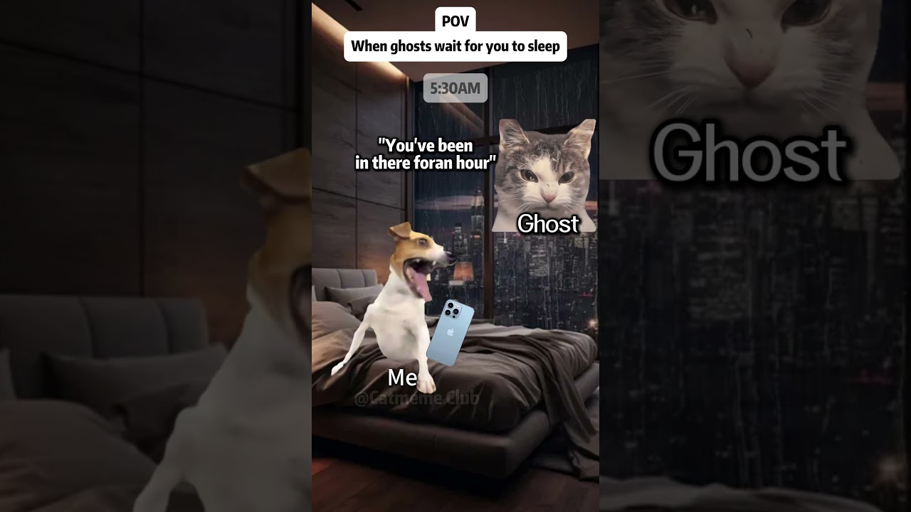 Ghost Tried to Scare Me… But I Never Slept 😂🐱#catmeme #relatable  #shorts