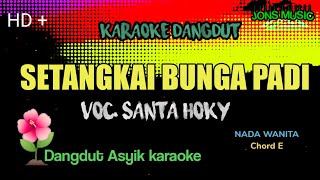 Download lagu SETANGKAI BUNGA PADI || SANTA HOKY || KARAOKE DANGDUT || NADA WANITA mp3 Download lagu SETANGKAI BUNGA PADI || SANTA HOKY || KARAOKE DANGDUT || NADA WANITA mp3