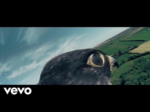 Stornoway - Man On Wire (Official Video)