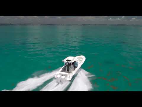 2025 Edgewater 325CC Video