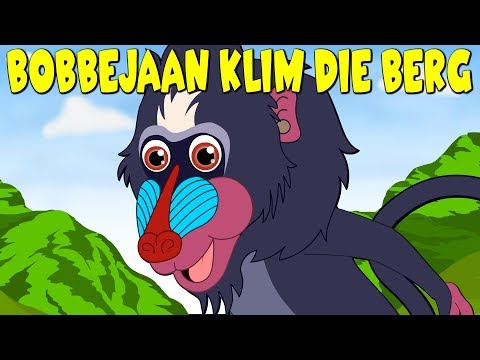 Bobbejaan Klim die Berg | Afrikaans Traditional Song for kids | Afrikaanse Kinderliedjies