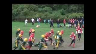 Cougar Football Highlights 2012