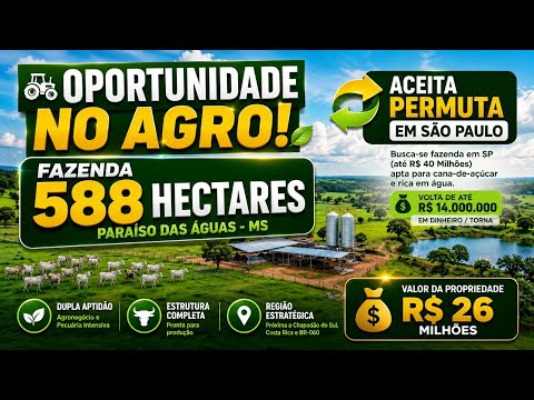 Fazenda 588 Hectares em Paraíso das Águas MS à Venda | Aceita Permuta em SP (Volta R$ 14M)