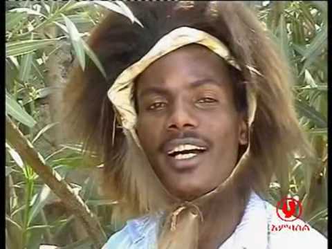 Araarsaa Gabbisaa   Koomee