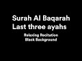 Surah Al Baqarah - Last three ayahs - Omar Hisham Al Arabi