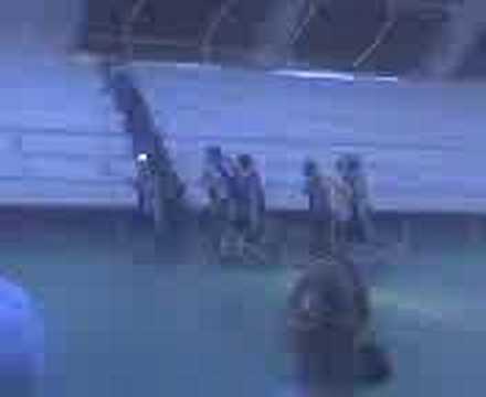 * É CAMPEÃOOOO.. !! *