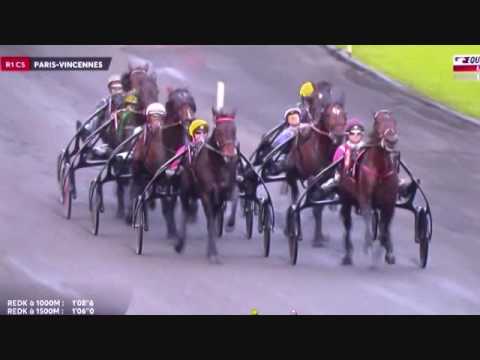 Prix Marcel Laurent, Vincennes le 10 novembre 2016