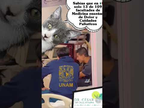 César Josué Sánchez Molina-19