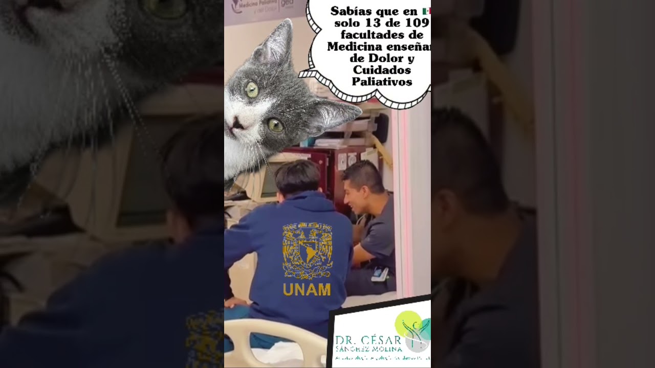 César Josué Sánchez Molina-19