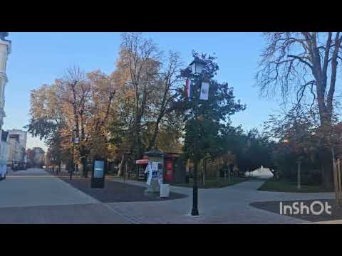 Bjelovar Croatia - Walking Tour 4k 30fps