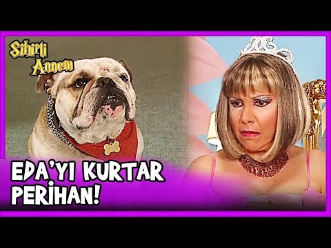 Taci, Dudu'nun Planını Perihan'a Söyledi - Sihirli Annem 14. Bölüm