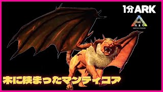 ARK:怪獣MOD 木に挟まったマンティコアをテイム　#Shorts　アイランド