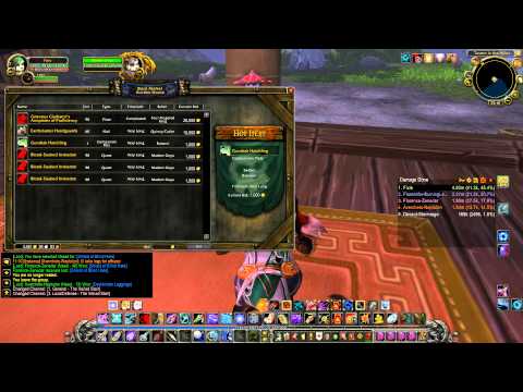 Hunter playthrough 1 - 90 Part 91 World of Warcraft patch 5.4.8 (No commentary)