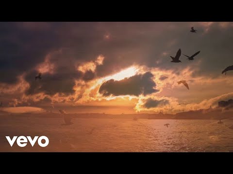 Vice Vukov - Tvoja Zemlja