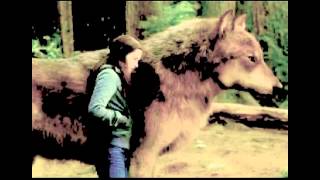 jacob and bella//that should be me