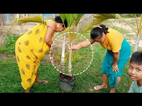🔥Flower gardenenig at home II how to plant flower #flowers #flowergarden
