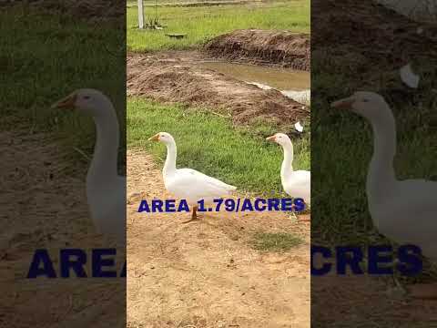  78044 Sq.ft. Agricultural/Farm Land for Sale in Melattur, Thanjavur