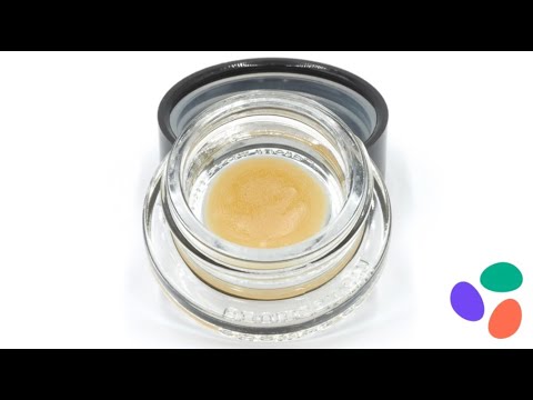 Emerald Cups Highest Terpene Winner: "The Making Of w/Pez Bro"