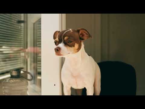 Mixing Genres: AI Motion Meets Analogue Photography