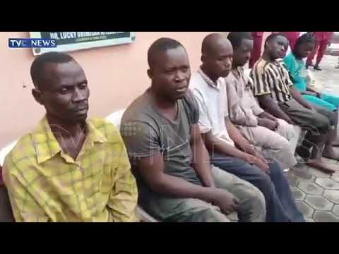 Ondo Amotekun rescues eight kidnap victims after gun battle with abductors 