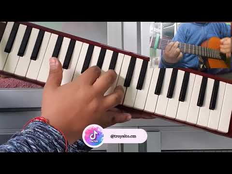 AMA KUNGAWAYCHU (R I M A Y) | Cover en Melódica 2025 | Troy Córdova